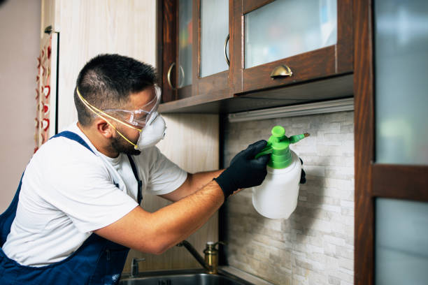 Best Pest Removal Services  in Soap Lake, WA
