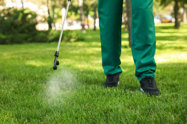 Best Pest Inspection Near Me  in Soap Lake, WA