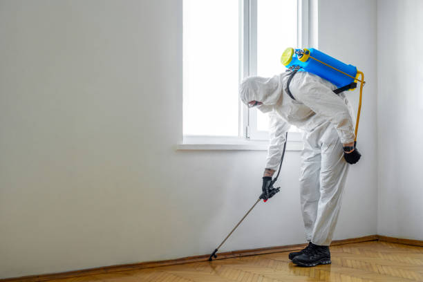 Best Pest Prevention Services  in Soap Lake, WA