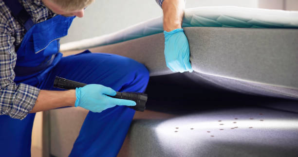 Best Ant Control Services  in Soap Lake, WA