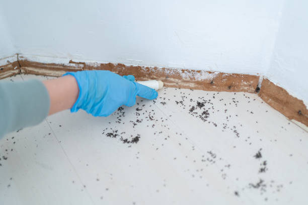 Best Exterminator Services  in Soap Lake, WA